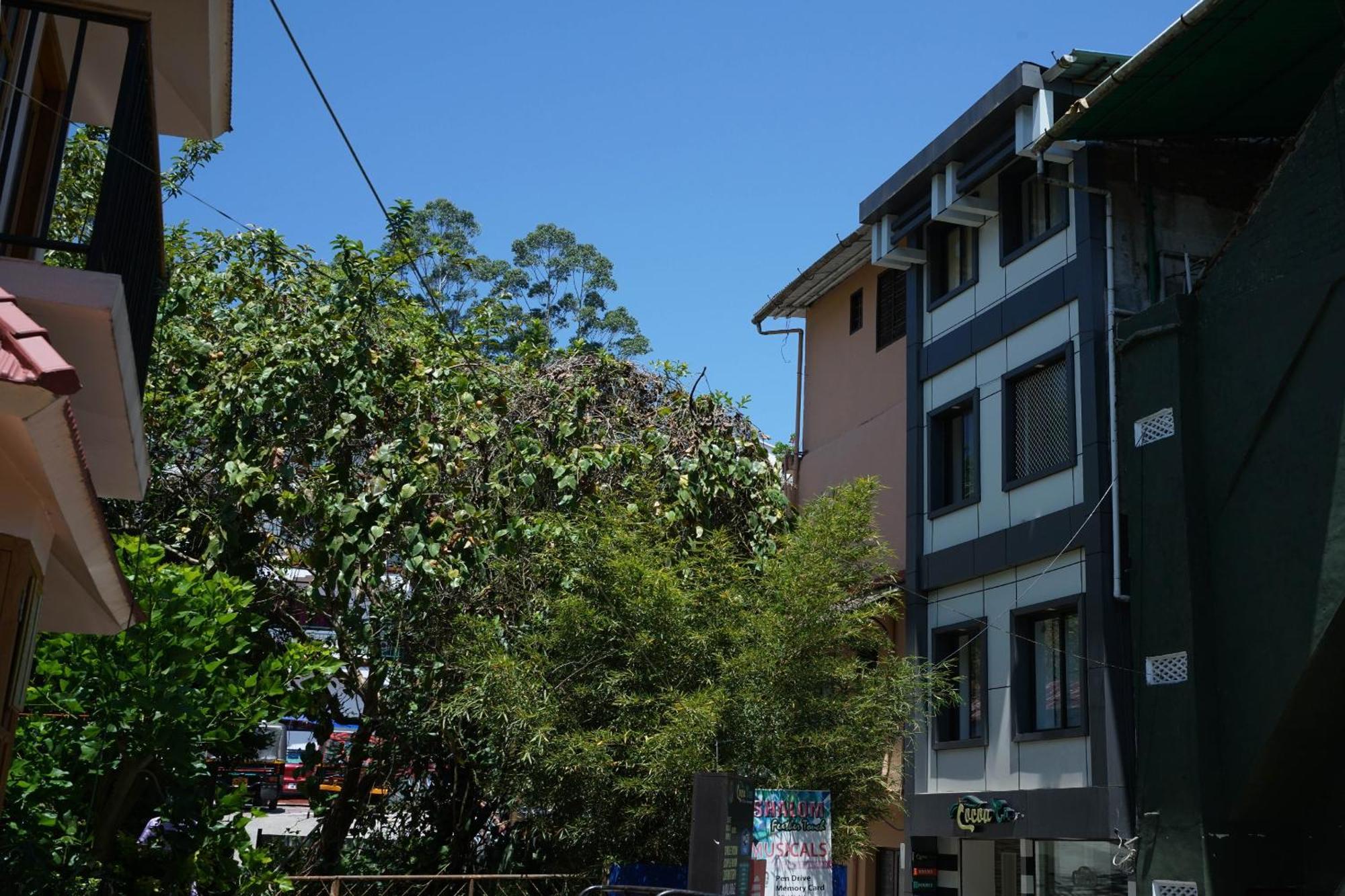 Oyo Hotel Cocoa Tree Munnar Exterior photo